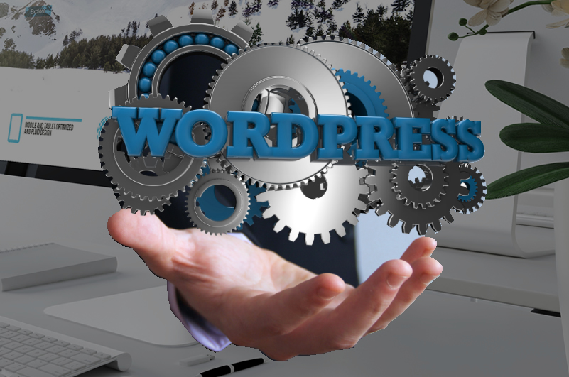 WordPress updates web design developer Spalding