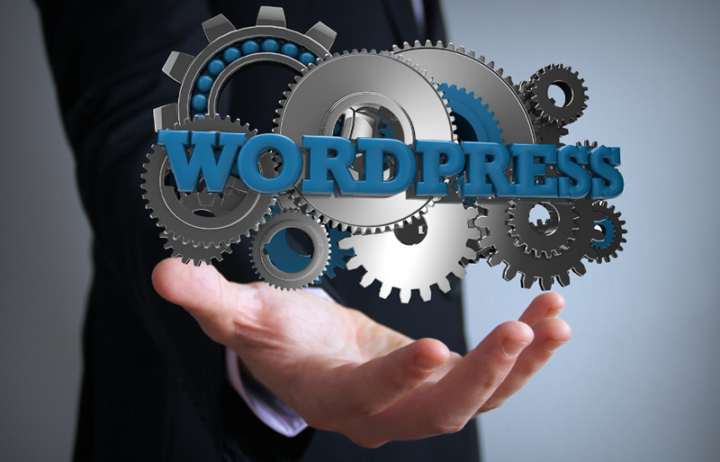How to get more results out of WordPress