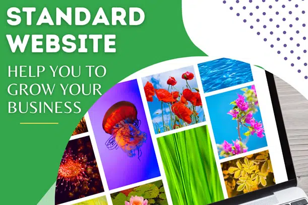 Pay monthly standard websites