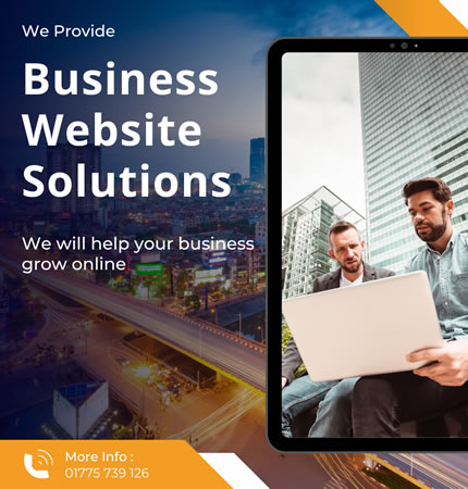 Business website solutions