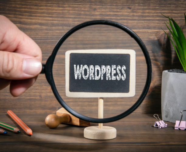 WordPress Word image