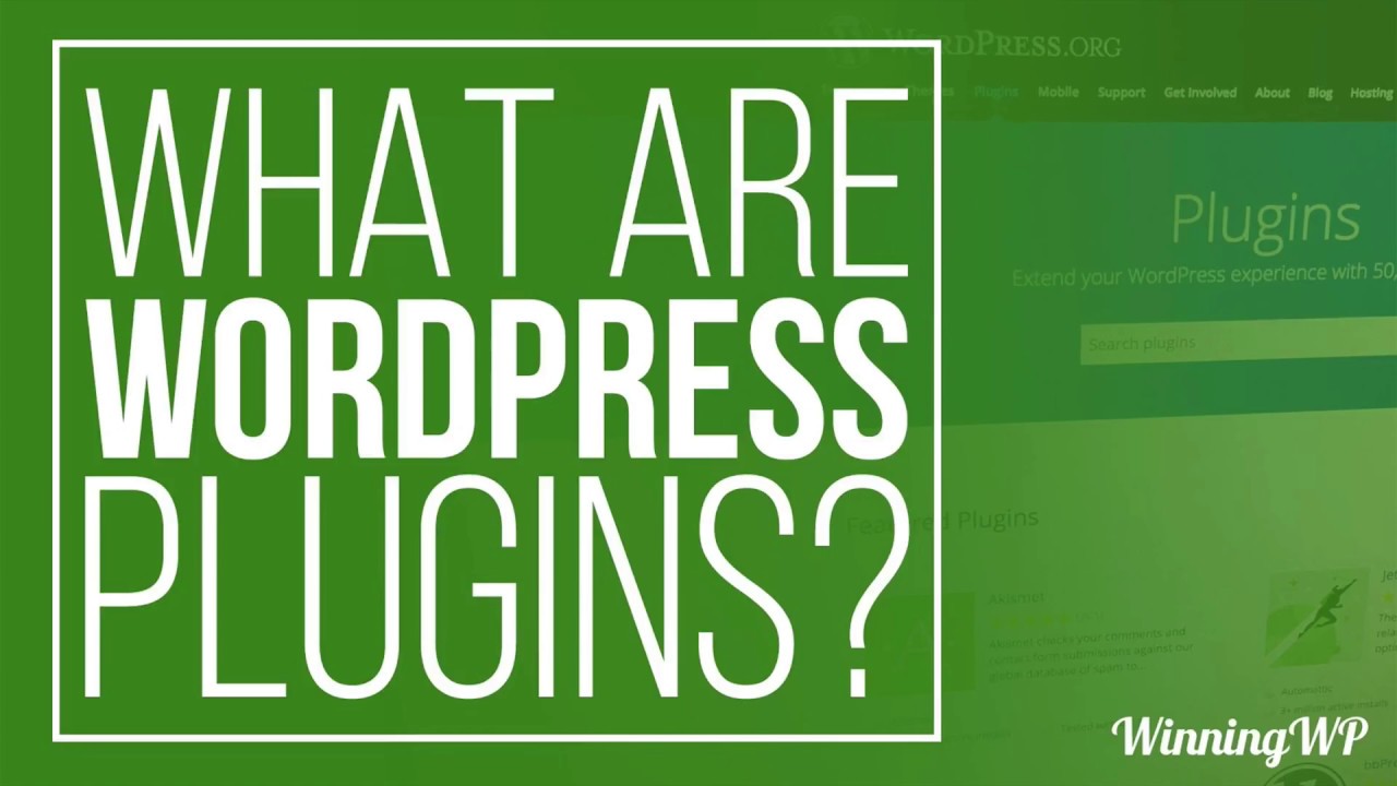 WordPress Plugins @Winningwp